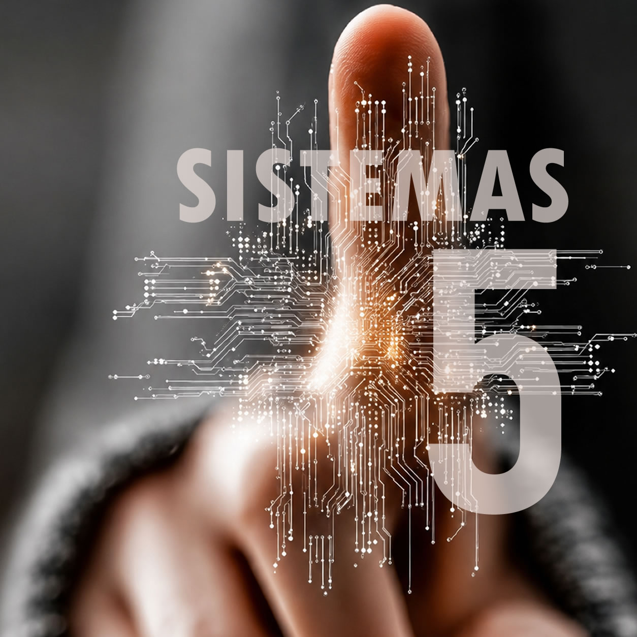 Sistemas a medida con IA